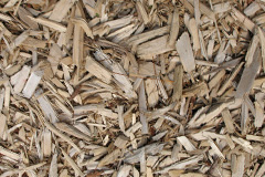 biomass boilers Alphamstone